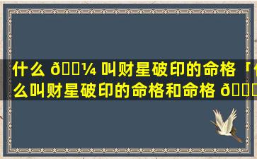什么 🌼 叫财星破印的命格「什么叫财星破印的命格和命格 🐞 」